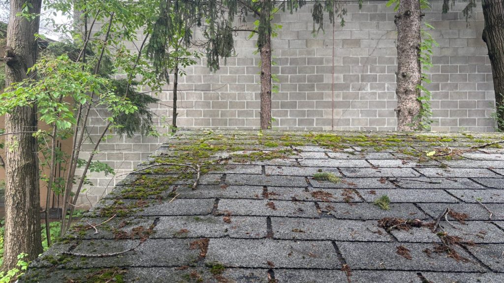 Moss and debris growing across asphalt roof shingles